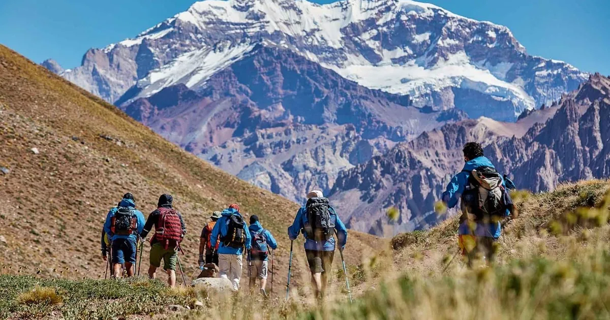 A line of hikers with daypacks walking up a grassy valley towards a snowy mountain